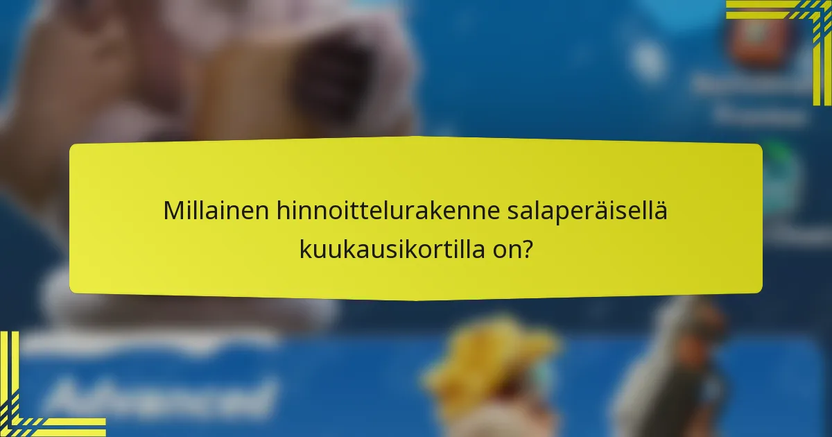 Millainen hinnoittelurakenne salaperäisellä kuukausikortilla on?